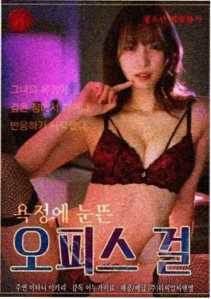 我的解放日志 条目封面